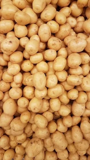 Potato Jumbo (4-5 inches)